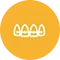 Icon 5